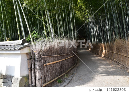 日本の春の京都 嵐山周辺の街並み 観光名所の竹林の小径 沢山の竹に囲まれた神秘的な小道 日本の春の京都 嵐山周辺の街並み 観光名所の竹林の小径 沢山の竹に囲まれた神秘的な小道 141622808