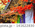 京都　今熊野観音寺　美しい秋の紅葉（京都府京都市東山区） 141622830