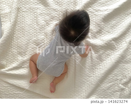ハイハイする赤ちゃんを上から見た様子 ハイハイする赤ちゃんを上から見た様子 141623274