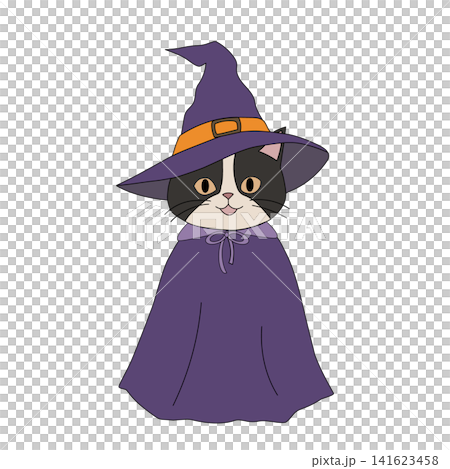 ハロウィンコスチュームのねこ 帽子を被った魔法使い ハロウィンコスチュームのねこ 帽子を被った魔法使い 141623458