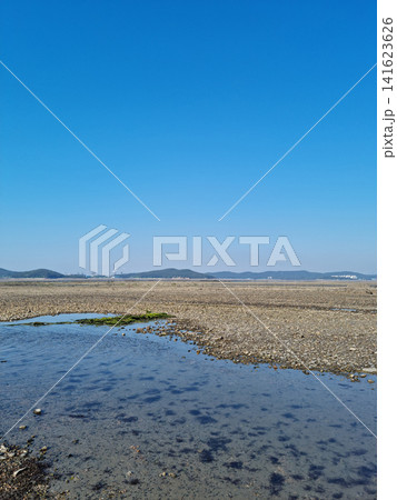 It is a sea with mudflats. 141623626
