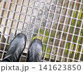 高所 141623850