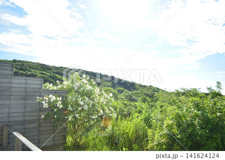 糸島bbbhaus 夏の風景 糸島bbbhaus 夏の風景 141624124