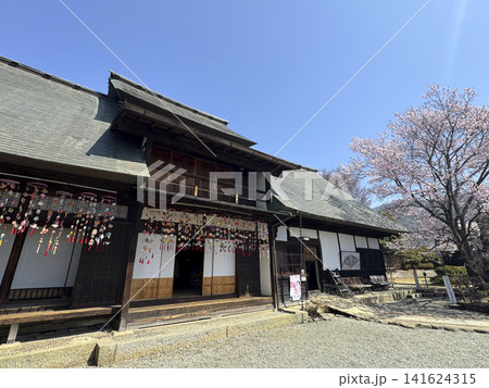 桜満開の甘草屋敷 桜満開の甘草屋敷 141624315