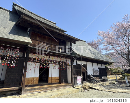 桜満開の甘草屋敷 141624316