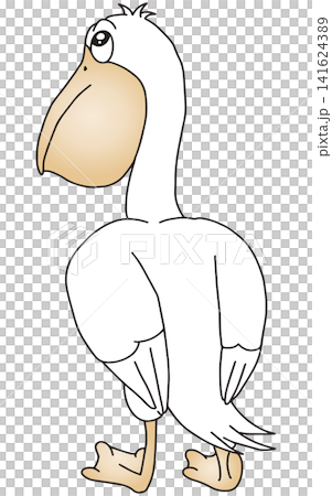 手繪動物插畫 ☆ 鵜鶘 手繪動物插畫 ☆ 鵜鶘 141624389