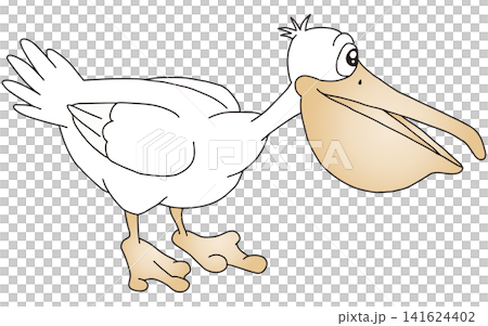 手書き動物イラスト☆ペリカン 手書き動物イラスト☆ペリカン 141624402
