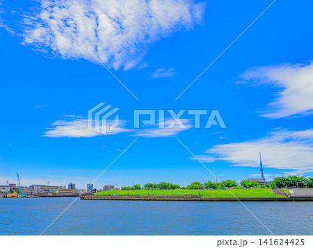夏の青空が広がる中川の風景 141624425