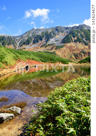 みどりが池と立山連峰秋の絶景 立山黒部アルペンルート 室堂平 富山県 みどりが池と立山連峰秋の絶景 立山黒部アルペンルート 室堂平 富山県 141624677
