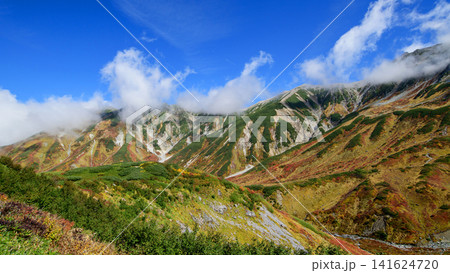 青空と紅葉する室堂平絶景 立山黒部アルペンルート 富山県 青空と紅葉する室堂平絶景 立山黒部アルペンルート 富山県 141624720