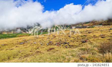 秋の室堂平　草紅葉と室堂山荘　立山黒部アルペンルート　富山県 141624851