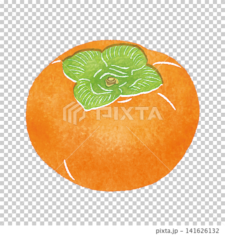 手繪水彩柿子插圖 | 秋季風味,水果,白色背景 手繪水彩柿子插圖 | 秋季風味,水果,白色背景 141626132