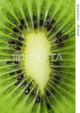 Vibrant Green Kiwi Fruit Slice Macro Extreme Close Up with Black Seeds Detail 141626595