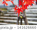 京都　二尊院　美しい秋の紅葉（京都府京都市右京区） 141626660