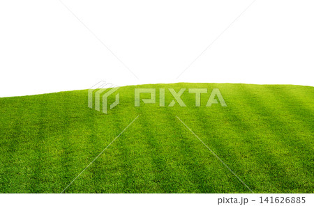 Green football field grass isolated on white background Green football field grass isolated on white background 141626885
