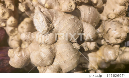 Fresh Organic Ginger Root Displayed at Farmers Market Healthy Natural Superfood Fresh Organic Ginger Root Displayed at Farmers Market Healthy Natural Superfood 141626974