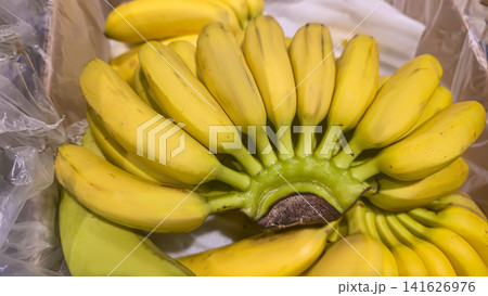 Fresh Ripe Yellow Banana Bunch at Grocery Store Fruit and Vegetable Display Fresh Ripe Yellow Banana Bunch at Grocery Store Fruit and Vegetable Display 141626976