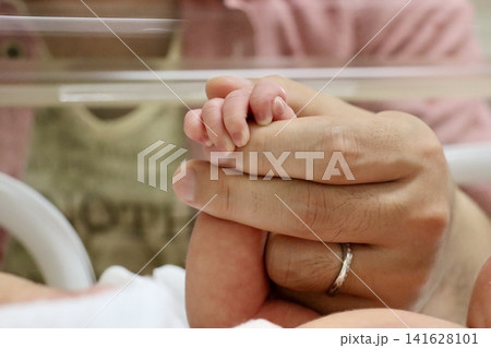 父親の手を握る新生児の手 保育器での親子の絆|育児・医療・子育て支援向け・家族向けイメージ素材 父親の手を握る新生児の手 保育器での親子の絆|育児・医療・子育て支援向け・家族向けイメージ素材 141628101