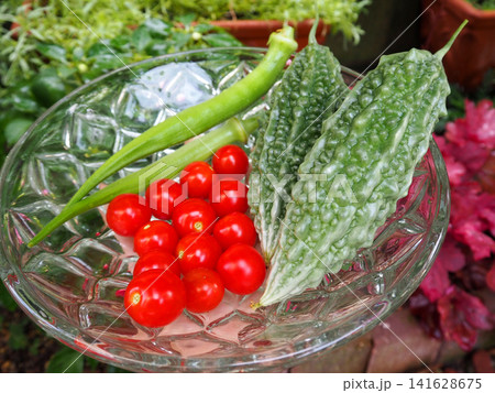 家庭菜園で収穫した新鮮な夏野菜 141628675