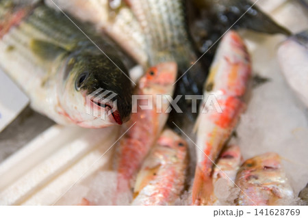 Freshly Displayed Assortment of Fish on Ice in a Market Stall Ready for Culinary Preparation 141628769