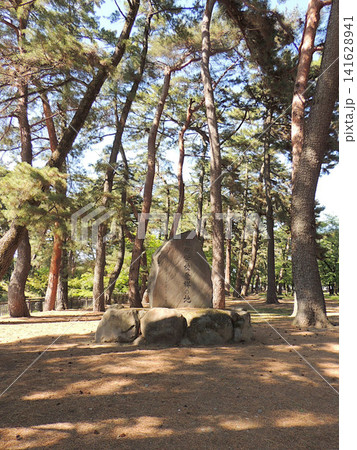 敷島公園 松林 敷島公園 松林 141628941