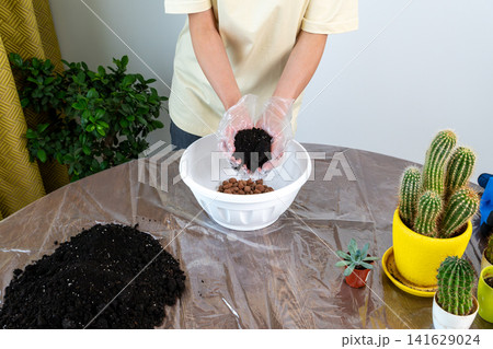 Woman in Gloves Holding Handful of Dark Soil Above Potting Bowl Woman in Gloves Holding Handful of Dark Soil Above Potting Bowl 141629024