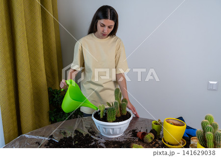 Young Female Gardener Watering Freshly Potted Cacti with Green Watering Can Young Female Gardener Watering Freshly Potted Cacti with Green Watering Can 141629038