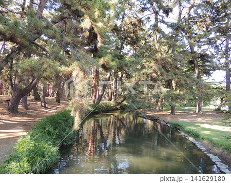 敷島公園　 141629180