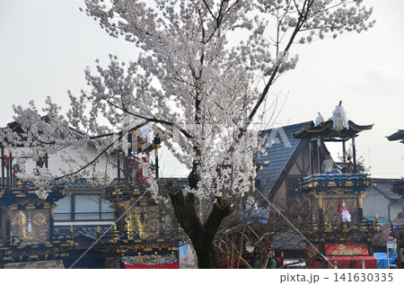 日本の愛知県の犬山市 春の犬山祭りと満開の桜 犬山城前広場に集まる車山 からくり人形を奉納する光景 日本の愛知県の犬山市 春の犬山祭りと満開の桜 犬山城前広場に集まる車山 からくり人形を奉納する光景 141630335