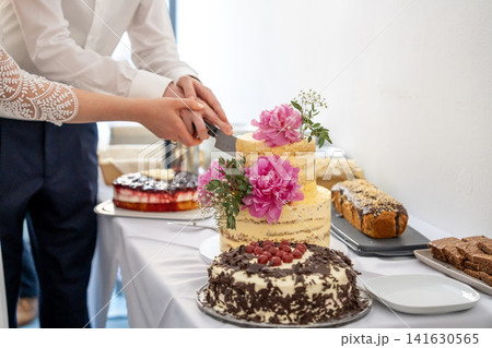 Wedding couple cutting rustic tiered cake decorated with pink flowers during celebration reception Wedding couple cutting rustic tiered cake decorated with pink flowers during celebration reception 141630565