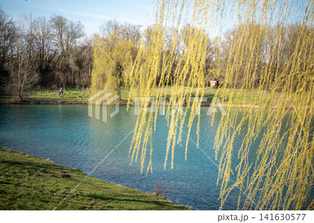 Emmeringer Lake near Fuerstenfeldbruck in Bavaria Germany, calm bathing lake with clear water, green trees and natural shoreline in early spring outdoor recreation landscape Emmeringer Lake near Fuerstenfeldbruck in Bavaria Germany, calm bathing lake with clear water, green trees and natural shoreline in early spring outdoor recreation landscape 141630577