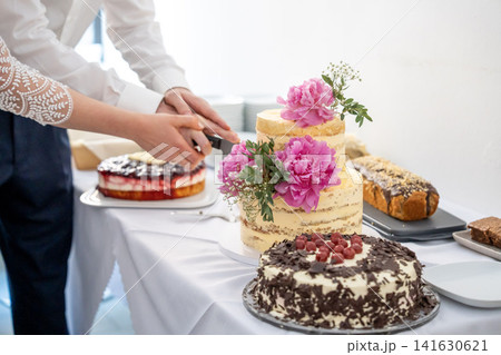 Wedding couple cutting rustic tiered cake decorated with pink flowers during celebration reception Wedding couple cutting rustic tiered cake decorated with pink flowers during celebration reception 141630621