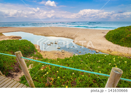 The wooden footpath on the sandy seashore on a sunny day. Porto, Portugal, Europe The wooden footpath on the sandy seashore on a sunny day. Porto, Portugal, Europe 141630666