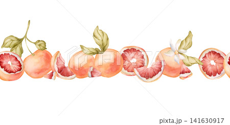 Grapefruit citrus fruit seamless border. Watercolor hand drawn floral food illustration isolated on white background for summer design home kitchen textile cute print cosmetic package crockery banner Grapefruit citrus fruit seamless border. Watercolor hand drawn floral food illustration isolated on white background for summer design home kitchen textile cute print cosmetic package crockery banner 141630917