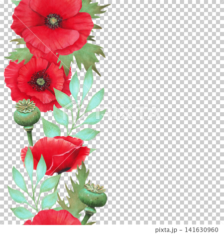 Seamless vertical border. Watercolor illustration of poppy, buds, and seed pods. Wild Poppy Festival. Hand drawn botanical frame. Remembrance Day. Banner for packaging, textiles and printing. 141630960