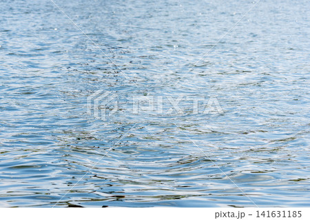 春の川　春風で水面が波打つ09 141631185