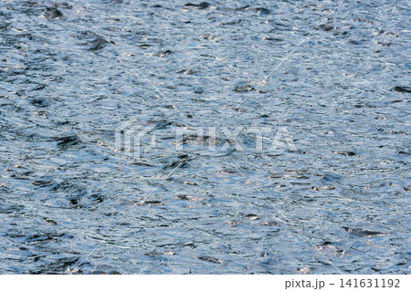 春の川 春風で水面が波打つ16 春の川 春風で水面が波打つ16 141631192