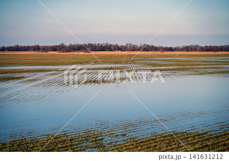 Spring brings melting ice that creates floods in fields near the river in the countryside. Spring brings melting ice that creates floods in fields near the river in the countryside. 141631212