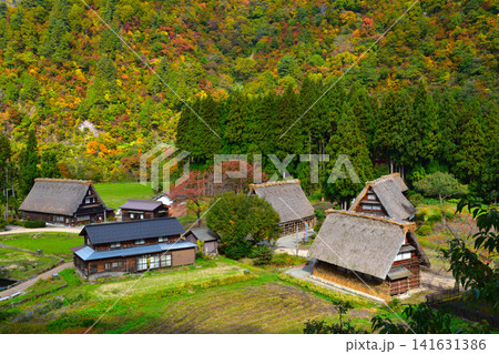 秋　五箇山　菅沼合掌集落 141631386