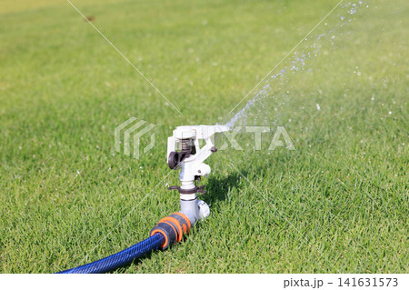 鮮やかな緑の芝生に水をまくスプリンクラーと水しぶき 鮮やかな緑の芝生に水をまくスプリンクラーと水しぶき 141631573