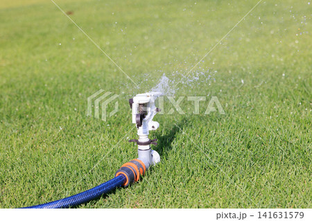 鮮やかな緑の芝生に水をまくスプリンクラーと水しぶき 141631579