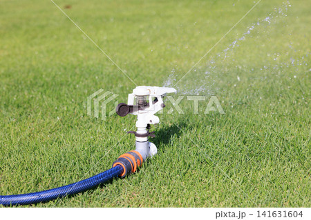 鮮やかな緑の芝生に水をまくスプリンクラーと水しぶき 鮮やかな緑の芝生に水をまくスプリンクラーと水しぶき 141631604
