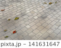 落ち葉のある石畳の背景 141631647