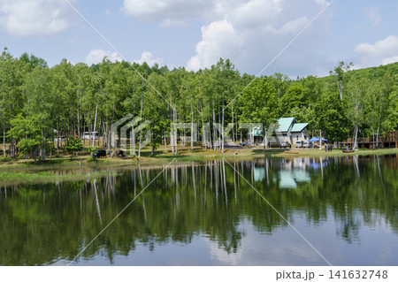 北海道和寒町 南丘森林公園の池と新緑の風景 初夏の自然景観 北海道和寒町 南丘森林公園の池と新緑の風景 初夏の自然景観 141632748