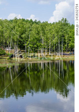 北海道和寒町 南丘森林公園の池と新緑の風景 初夏の自然景観 141632754