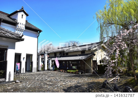 滋賀県近江八幡市　かわらミュージアムと満開枝垂桜 141632787