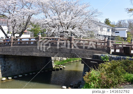 滋賀県近江八幡市 八幡堀と明治橋と満開桜 滋賀県近江八幡市 八幡堀と明治橋と満開桜 141632792