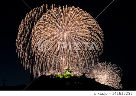川之江城の花火 川之江城の花火 141633255