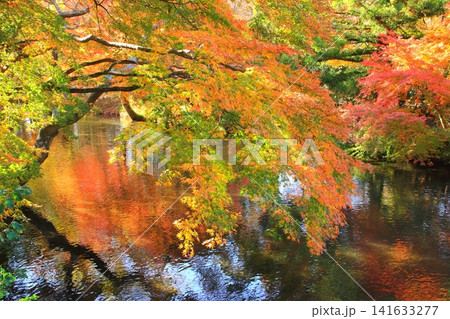 秋の金鱗湖周辺(由布市湯布院町) 秋の金鱗湖周辺(由布市湯布院町) 141633277