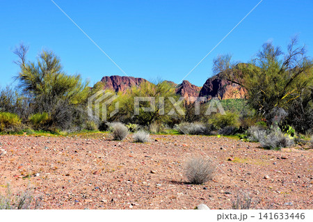 Salt River Recreation Area Arizona Salt River Recreation Area Arizona 141633446
